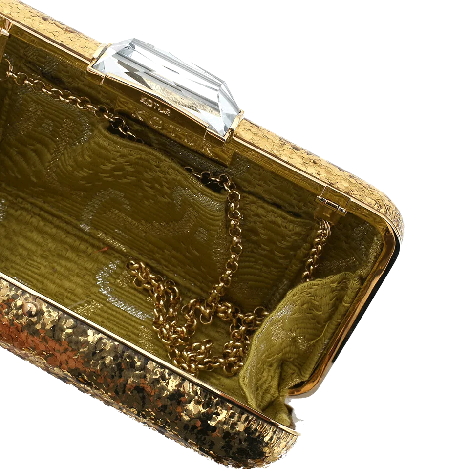 Framed Epsey Glitter Perspex Clutch